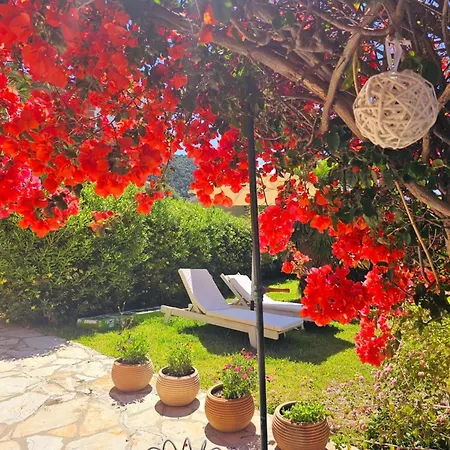 Διαμέρισμα Corfu Menigos 45